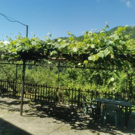 Appartamento Nel Verde San Marcello Pistoiese Exterior photo